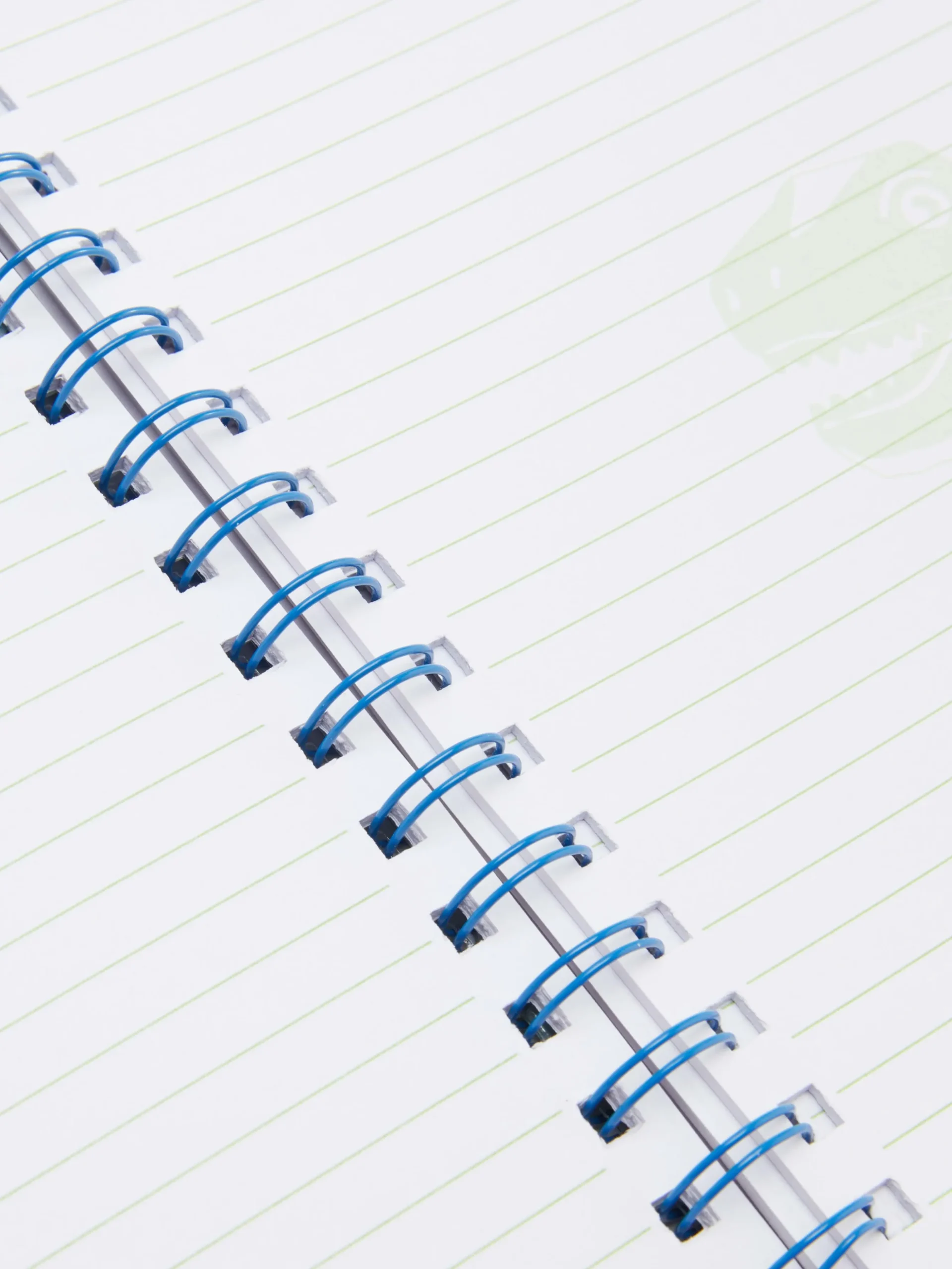 carnet_a_fantaisie__motif_1.webp Carnet A5 Fantaisie à Motif Dinosaure