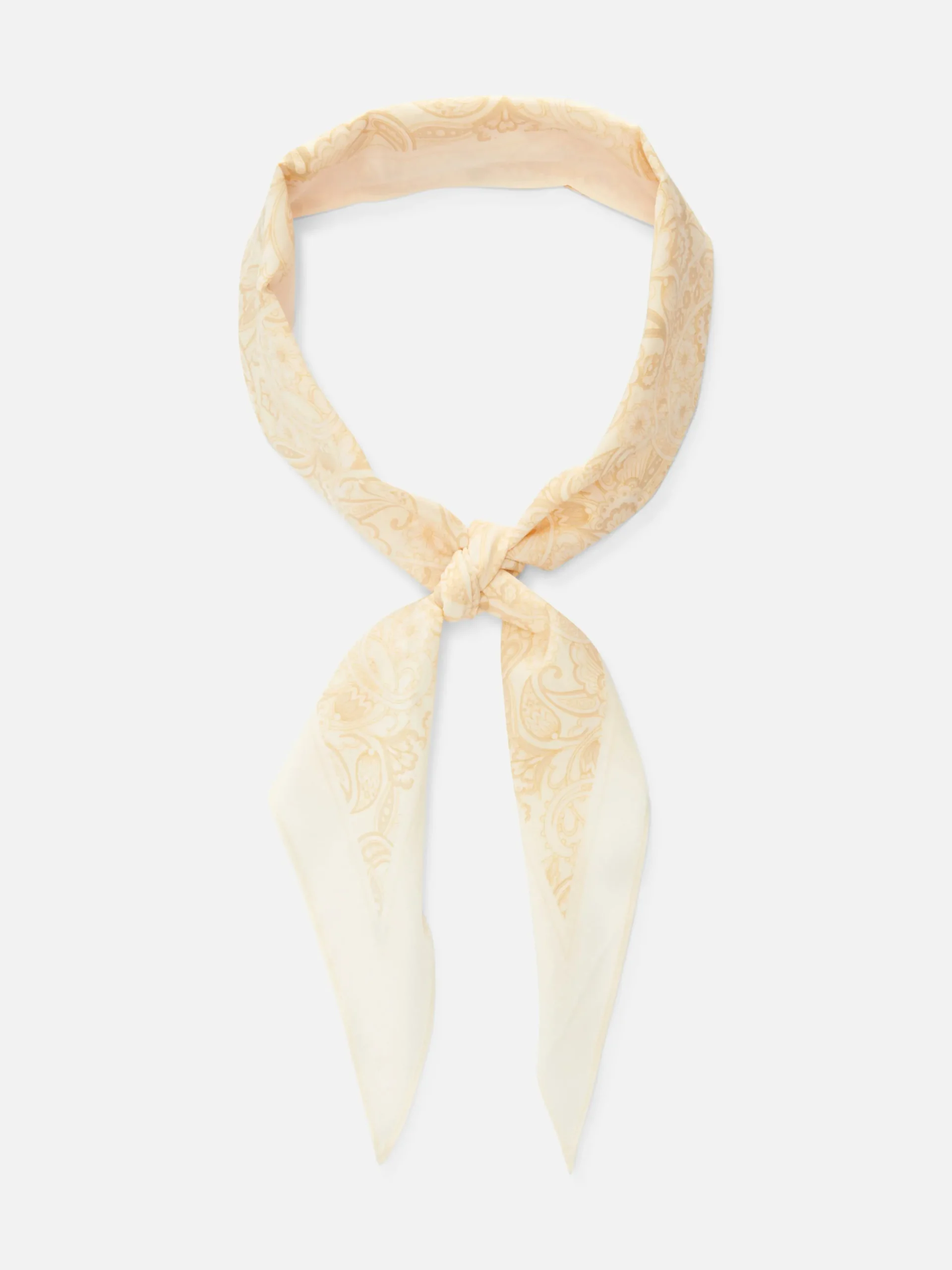 charpe__imprim_cachemire_0.webp Écharpe à Imprimé Cachemire