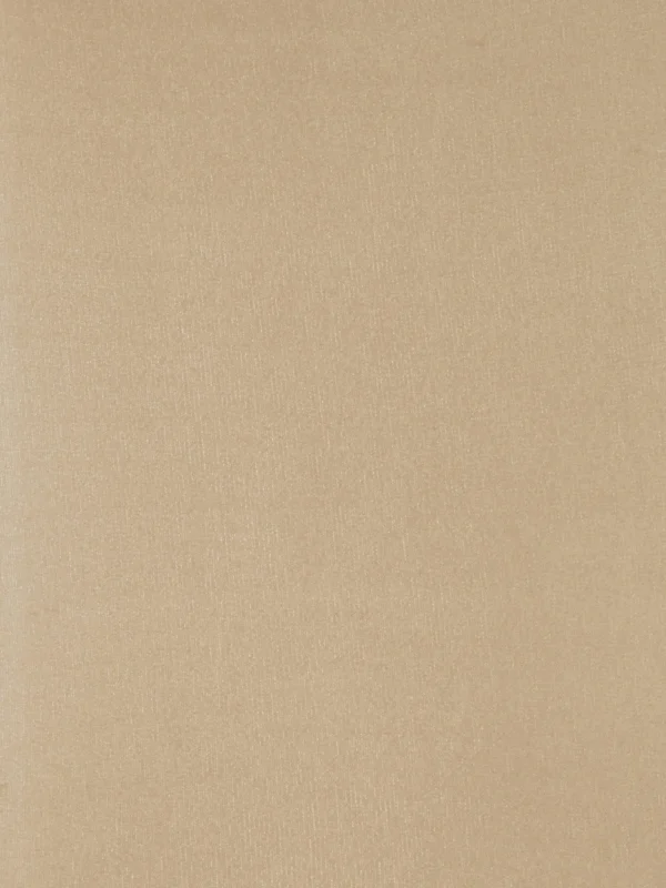 Collants De Luxe The Edit