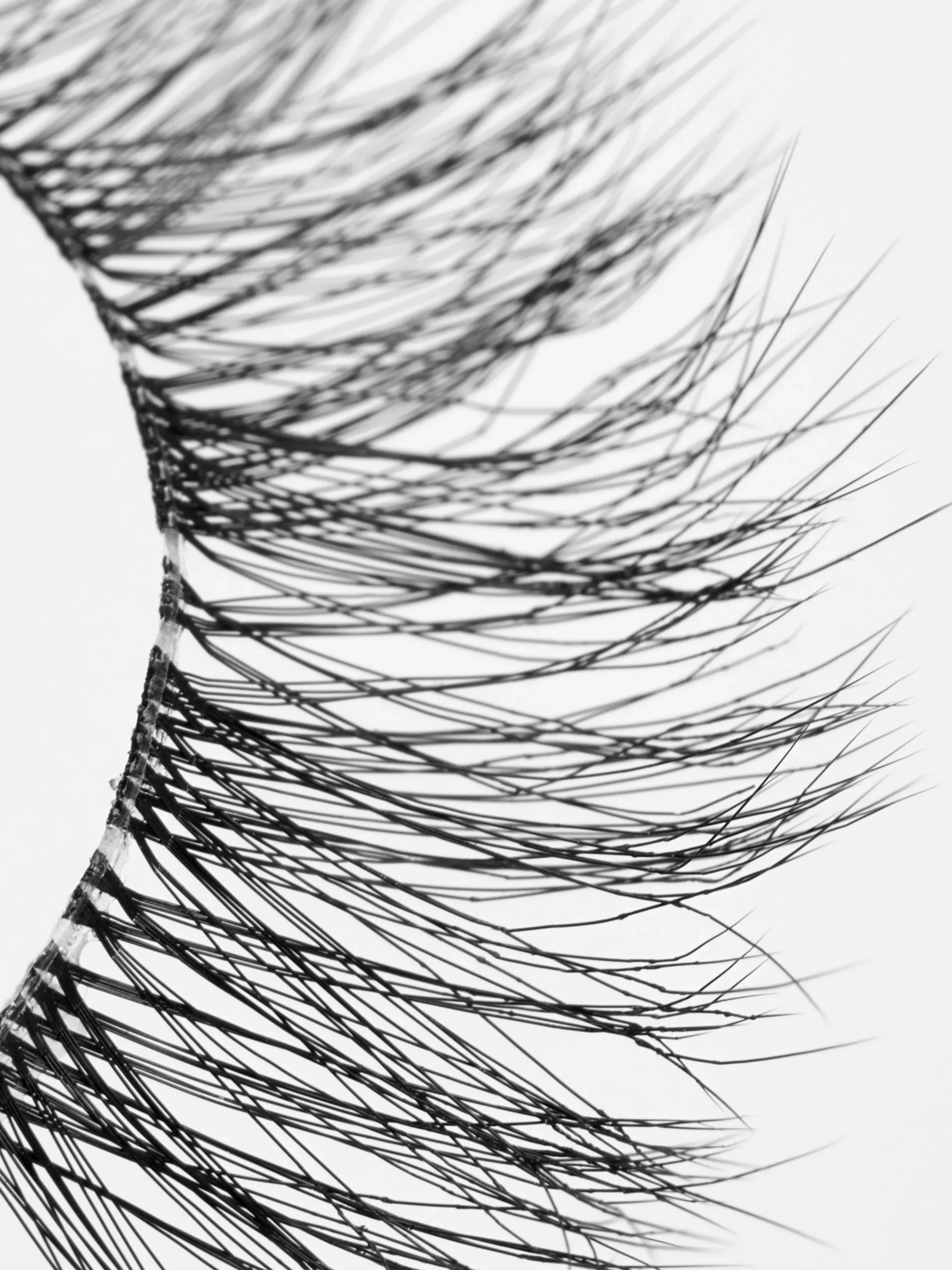 faux_cils_the_party_edit__1.webp Faux Cils The Party Edit PS...