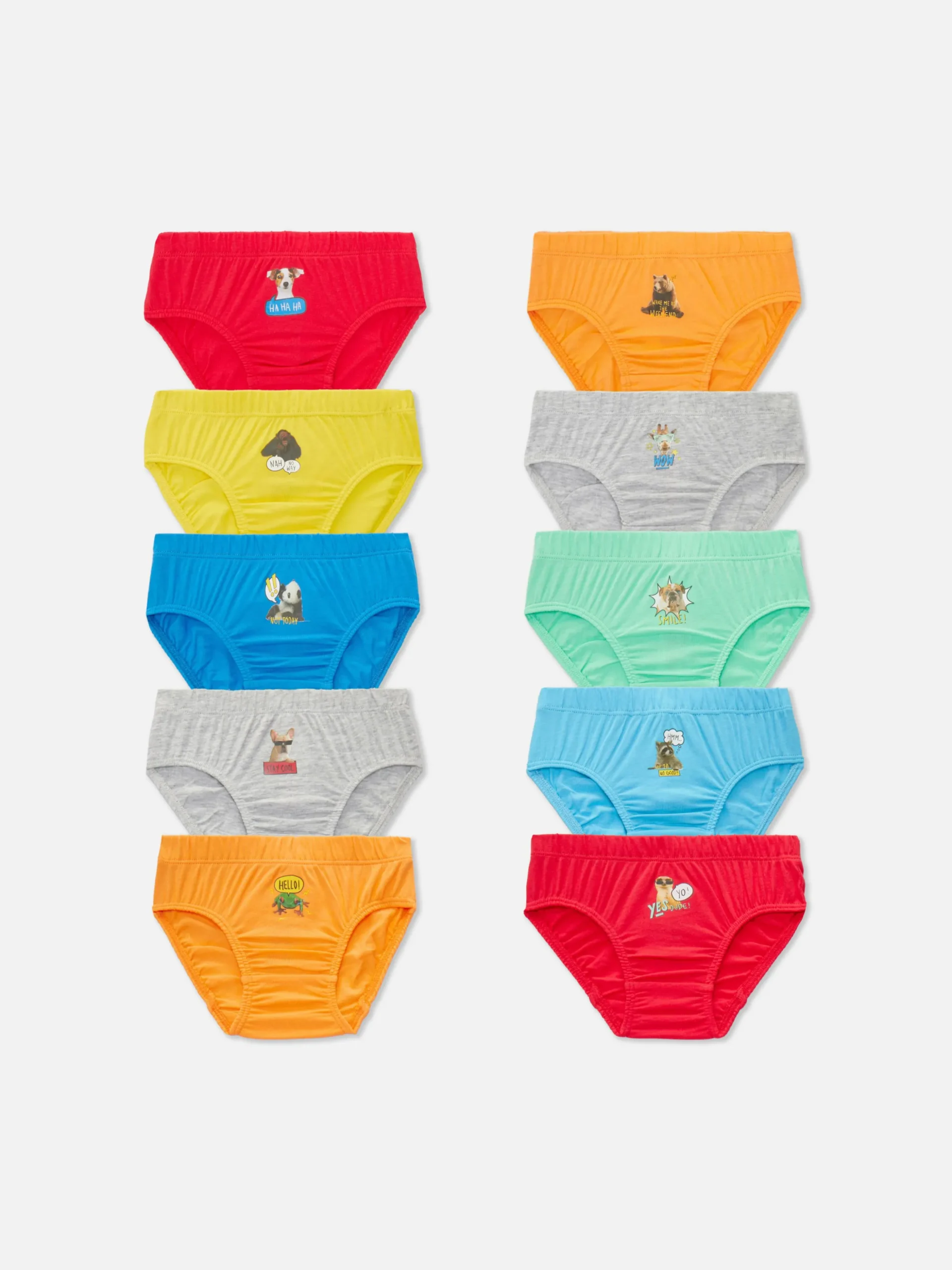 lot_de__slips__motif_anim_0.webp Lot De 10 Slips à Motif Animalier