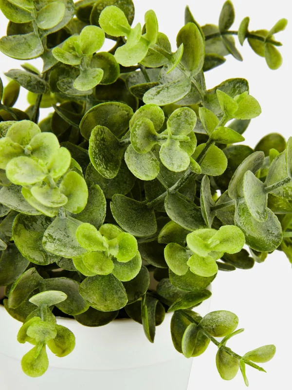 Petit Eucalyptus Artificiel