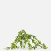 Plante Rampante Artificielle En Pot