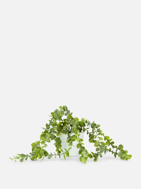 Plante Rampante Artificielle En Pot