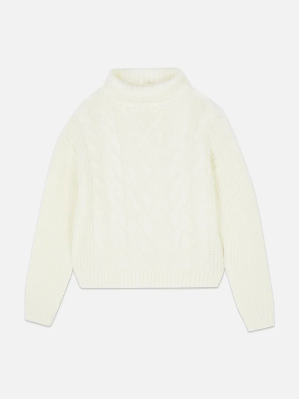 Pull à Col Roulé En Maille Torsadée