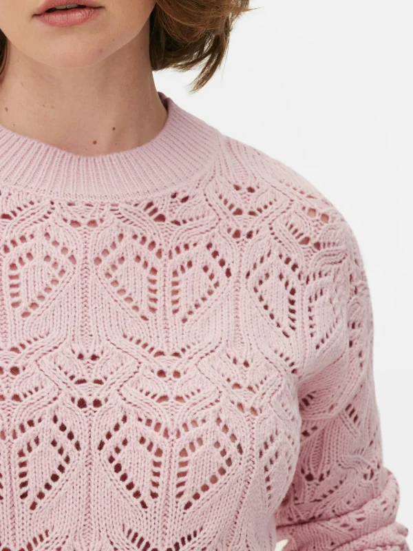 Pull En Maille Ajourée à Col Ras-du-cou