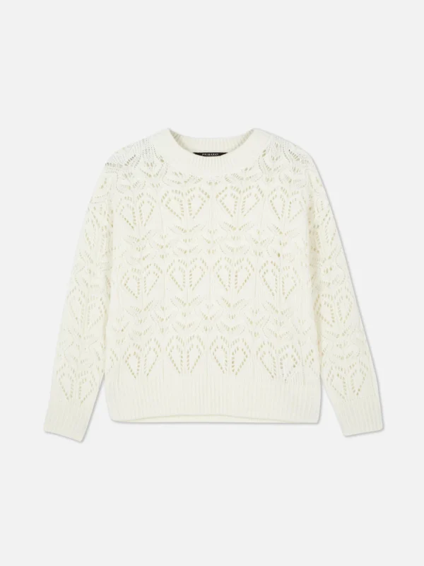 Pull En Maille Ajourée à Col Ras-du-cou