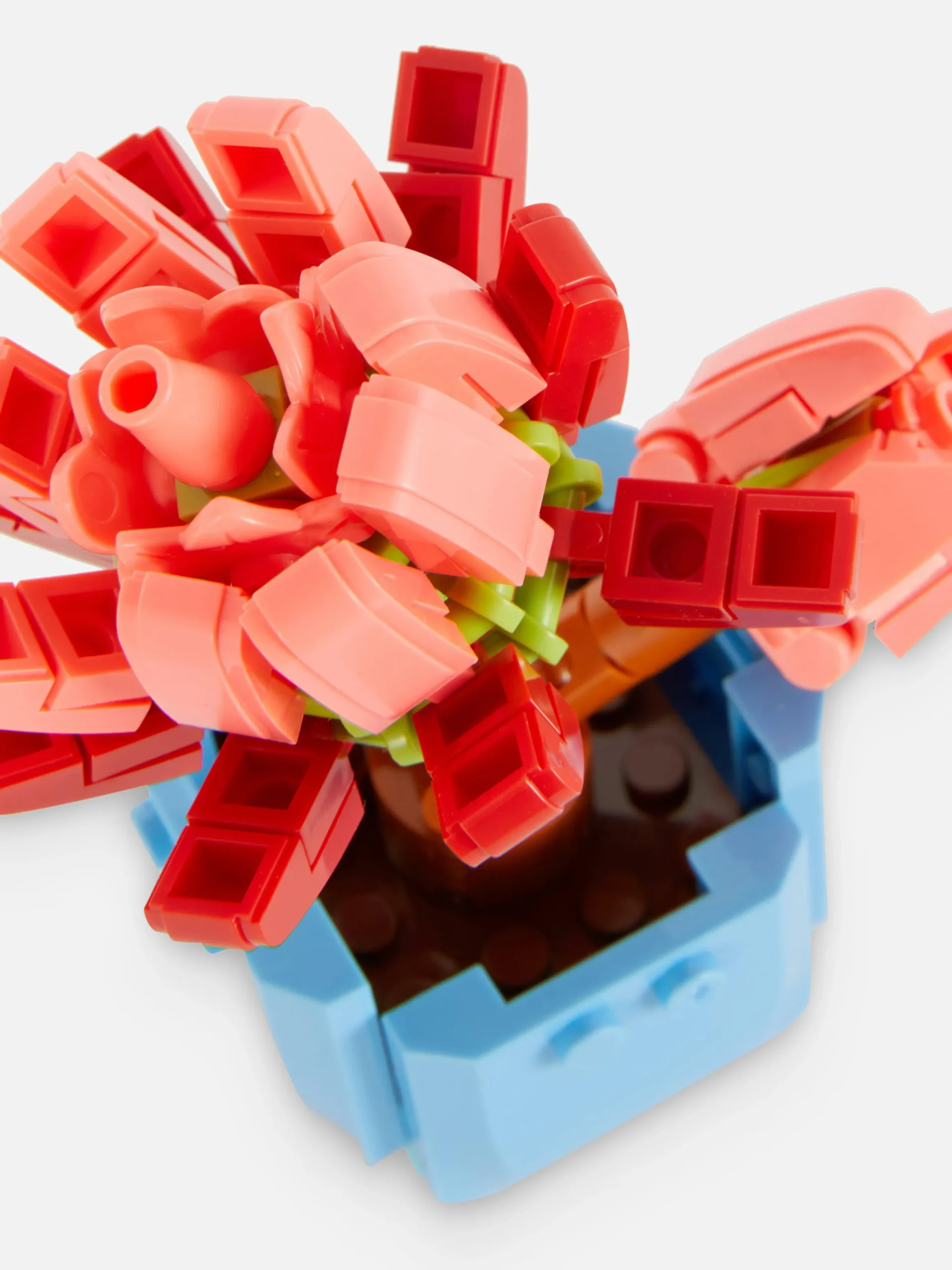 set_de_blocs_de_construct_1.webp Set De Blocs De Construction Plante Succulente