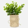Succulente Artificielle Dans Un Pot En Jute