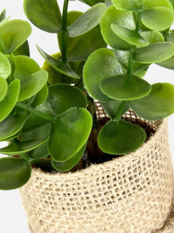 Succulente Artificielle Dans Un Pot En Jute