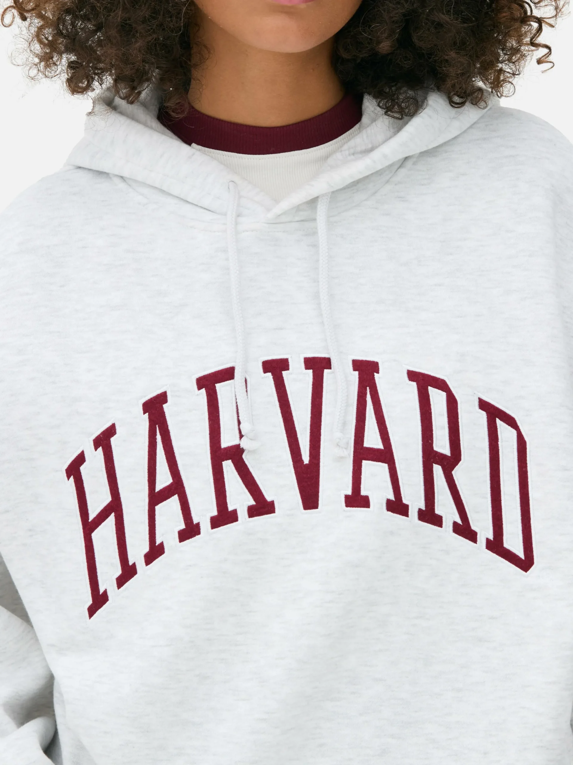 sweat__capuche_brod_harva_2.webp Sweat à Capuche Brodé Harvard