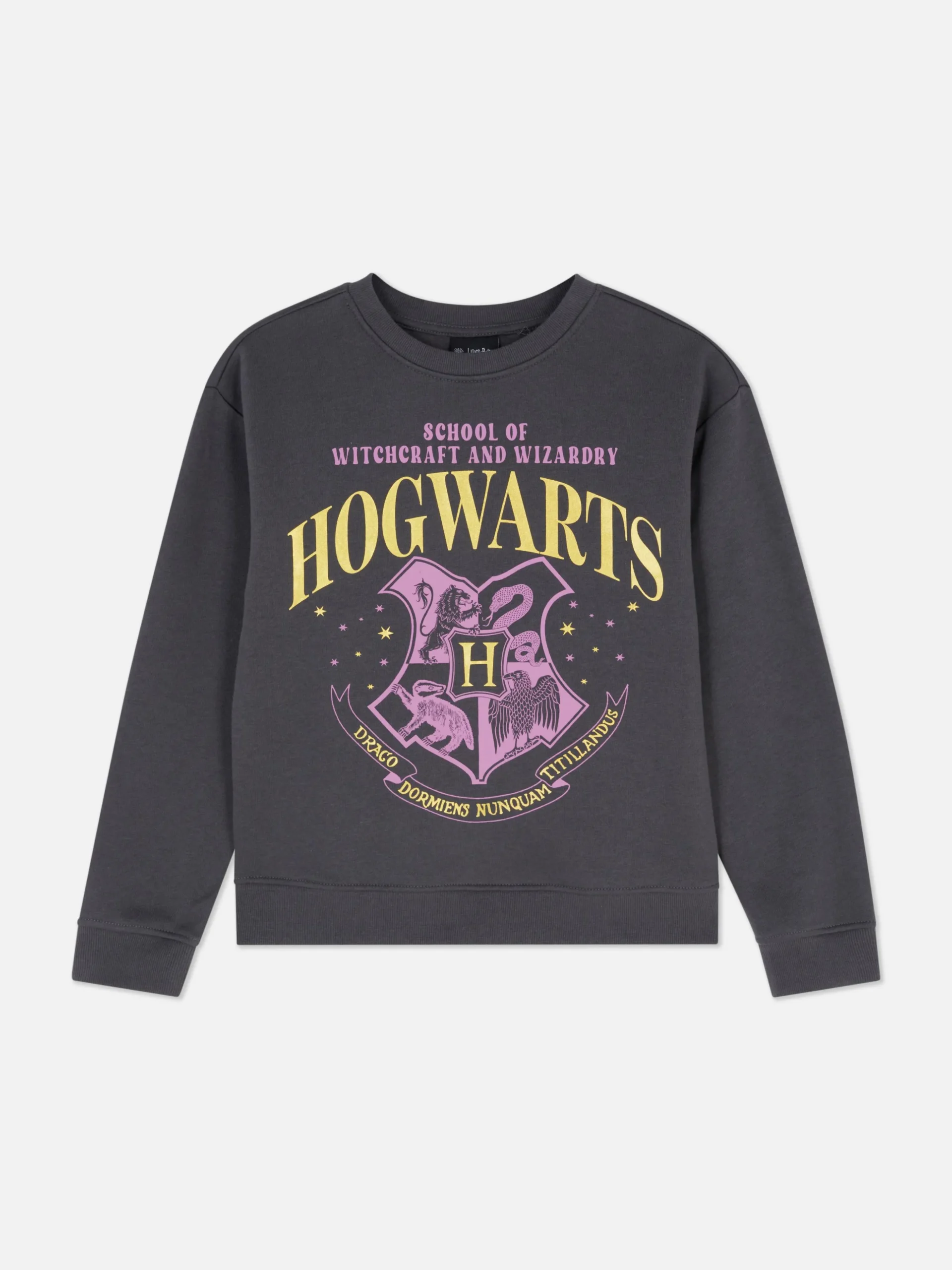 sweatshirt__col_rasducou__2-8.webp Sweat-shirt à Col Ras-du-cou Harry Potter™ Poudlard