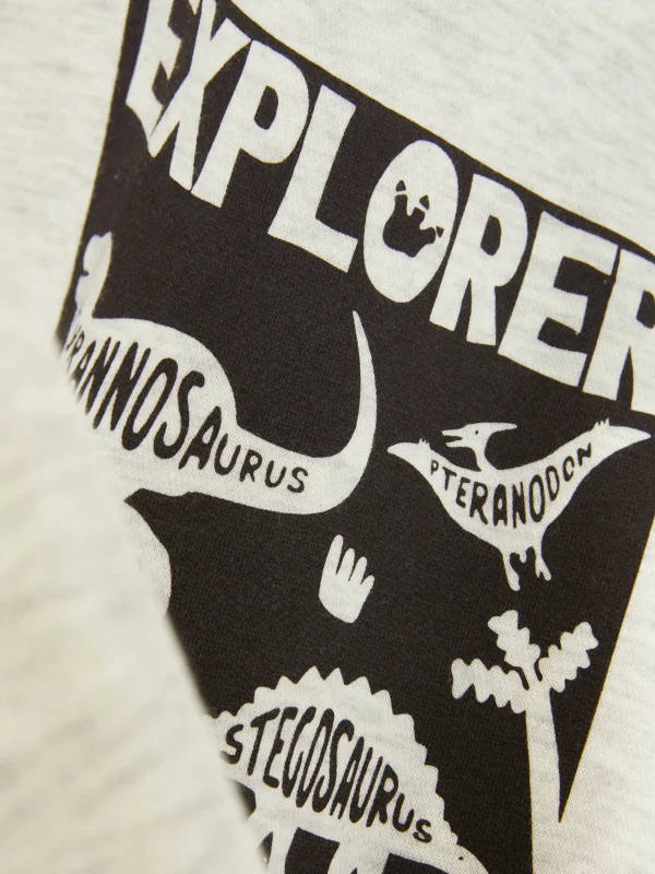 Sweat-shirt Ras-du-cou Graphique