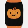 Tenue Citrouille Halloween Pour Animal De Compagnie