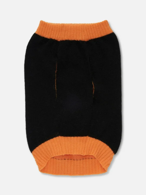 Tenue Citrouille Halloween Pour Animal De Compagnie