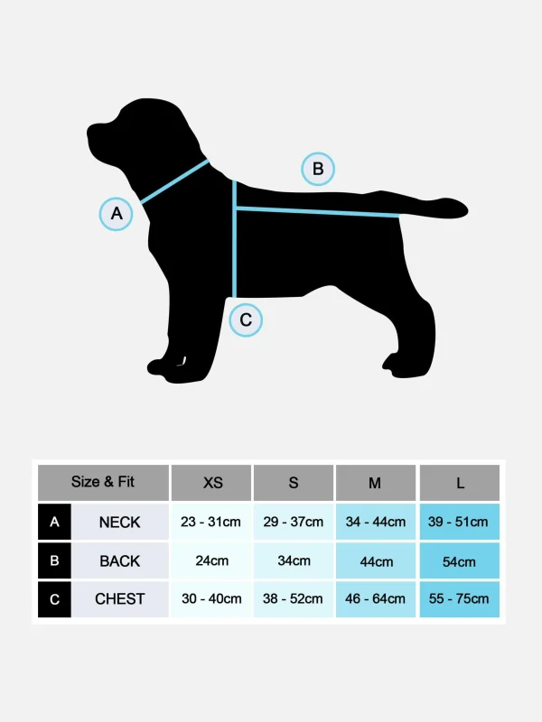 Tenue Citrouille Halloween Pour Animal De Compagnie