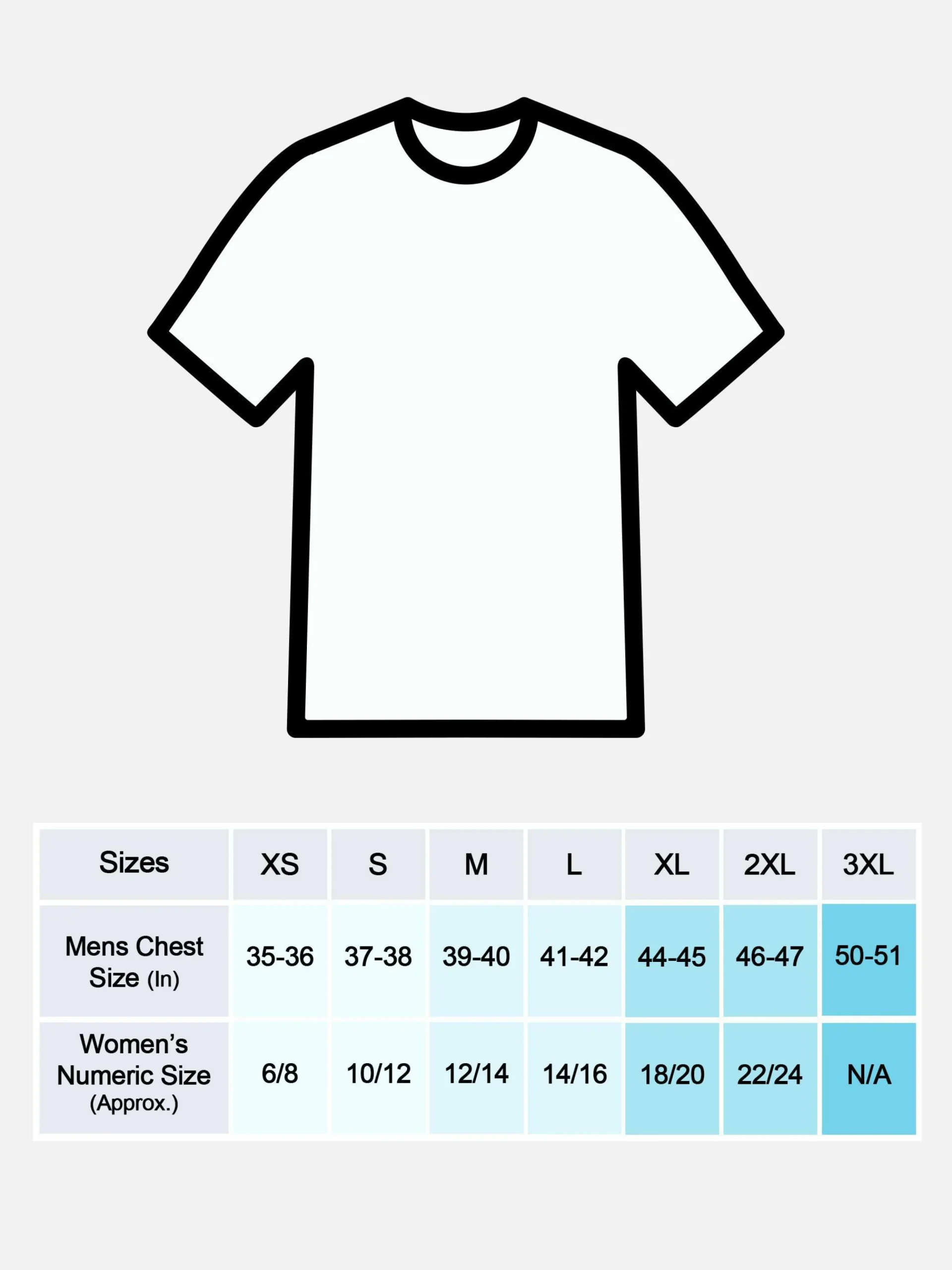 tshirt_nirvana_tour_5.webp T-shirt Nirvana Tour